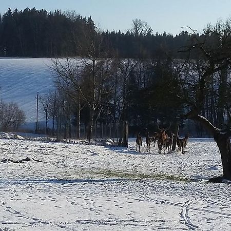 Pension Weinbauer Hofkirchen im Traunkreis Eksteriør bilde